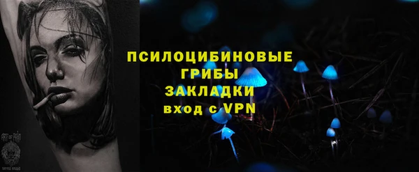 стафф Алексин