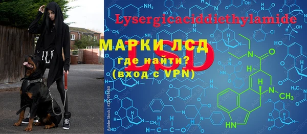 стаф Алзамай