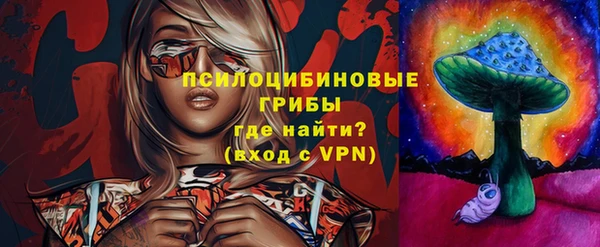 стафф Алексин