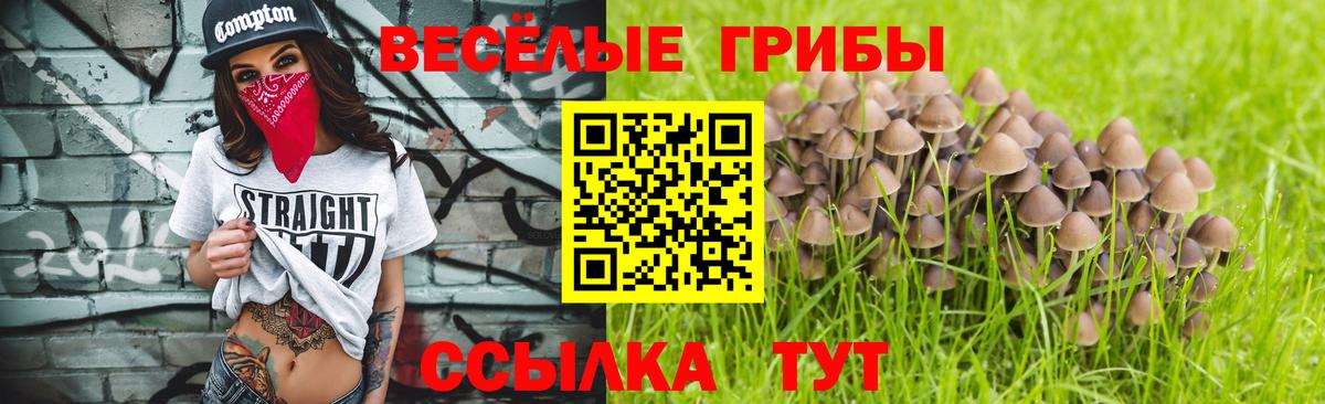 Галлюциногенные грибы прущие грибы Татарск